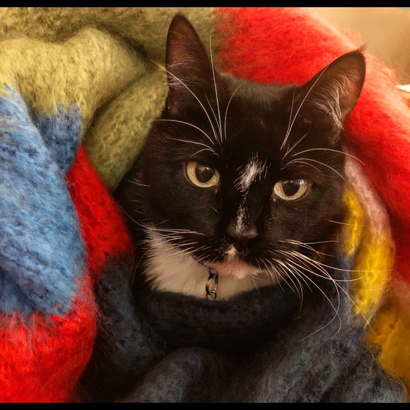 Meet your Posher, L - Picture 1 of 1